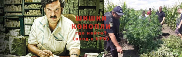 экстази Алексин