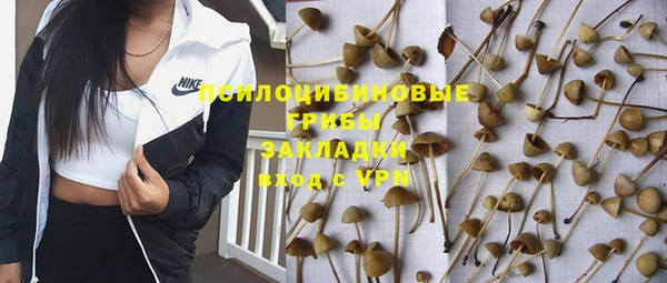 a pvp Алзамай
