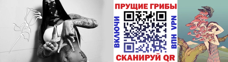 Галлюциногенные грибы Psilocybe Краснодар